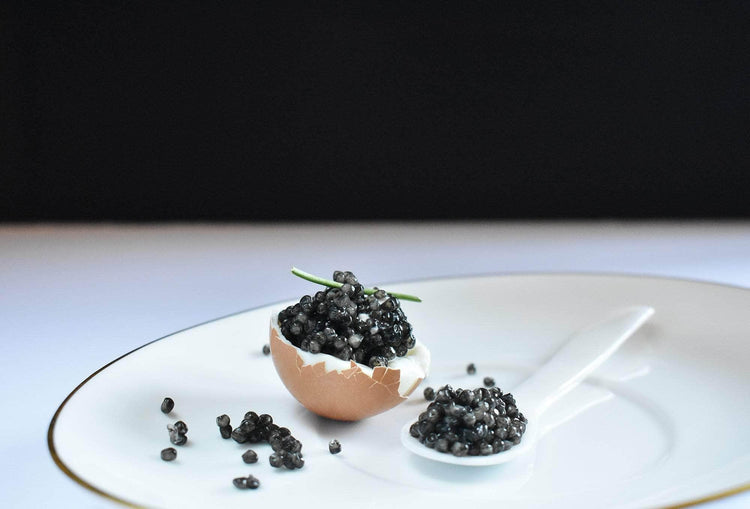 HOW DOES CAVIAR TASTE? - Bond Caviar