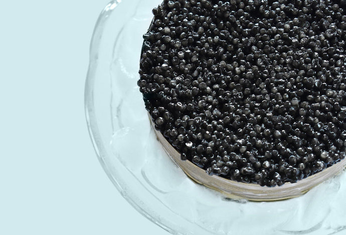 WHY IS CAVIAR SO POPULAR?