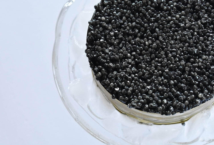 IS BELUGA THE BEST CAVIAR? - Bond Caviar