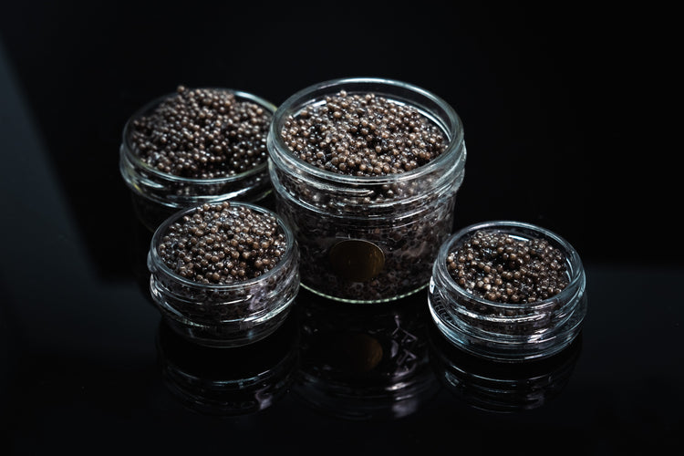 Special Reserve Caviar